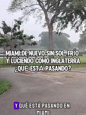 🥶 Sigue sin salir el sol en Miami, un panorama poco común, muy frío. Hasta cuándo esta situación en Miami. Cuándo regresa el Sol a Miami Hasta cuándo el frío en Miami Weather Miami Que pasa en Miami #Frío #Tampa #TampaBay #Ahora  Frío intenso en floroda a esta hora y seguirá bajando la temperatura para el amanecer. Una tormenta invernal estaria dejando nieve y hielo desde Texas hasta el norte del país pasando por Florida y Georgia. evento de frio intenso para muchos ya asoma en el horizonte, para la semana del 20 al 25 de enero. Nieve en Jacksonville  De nuevo Frío para muchos en Estados Unidos y también Florida pues una masa de aire Ártico se moverá por el centro de los Estados Unidos y llegará hasta Florida. Nieve en New York para navidad Tormenta Invernal en Kentucky  Tormenta Invernal en Kansas Nieve en Louisville para mañana City Hielo en Kansas City  Nieve en Kentucky  Nieve en Philadelphia  Donde cer nieve en Navidad. Nieve en Tampa  Nieve en Florida en Enero Nieve en Houston  Nieve en Texas Ya llegó el frío para muchos mientras otros ya tienen bastante frío aquí en los Estados Unidos dejando temperaturas por debajo del punto de congelación, también bajaran las temperaturas en Cuba y partes de México  Frío en Louisville  Nieve en Florida  Nieve hoy Tallahassee  Jacksonville nieve #Louisville  #Invierno #Nuevosistema  #Cuba #PuertoRico #Chicago #Dallas #TexasFrio #Dominicana #FrenteFrio #Cancun  01/24/2025 PM Navidad 2024 nieve Blanca Navidad Llegó el invierno Frente frio  hacia Cuba Frio Va a Cuba  Frío en Texas frío para Texas Golfo de México ciclones  Lo nuevo del frío  Tempueraturas frías en camino Nuevo frente frío  Mucho frío en Camino Que son los ensembles de los modelos de pronóstico  Tormenta Invernal en Texas #Houston #huracanes #Cuba #Florida #corrientesderesaca #playas  #ciclonestropicales #Florida #Nieve #Louisiana #TormentaInvernal #tiempotropical #temporada  #TormentaTropical #Cuba #Louisiana #Cancun #yucatan #Mexico #Temporada #TropicalWeather #ElTiempo #Pronóstico #Parati  #Cancun  #importante #Tampa #Miami #orlando #CapCut #Frio #HuracanInfo #ElProfeDelTiempo  El Profe del Tiempo #greenscreenvideo 