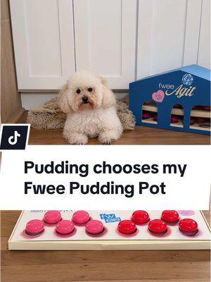 🍮 Pudding is such a natural and did this in one take 😆 Should I let him help pick out more of my makeup? 🐶 @fwee official Blurry Lip & Blush Pudding Pot in STH  #koreanmakeup #fwee #toypoodle #kbeauty #fweepuddingpot #kbeautymakeup 