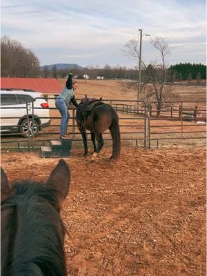 Watch Tenny learn to “pick me up” in 2 minutes! The foundation had been laid, but this was his first time trying this.  #aqha #ranchhorse #AQHA #aqhaproud #coltstarting #horse 