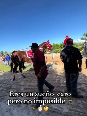 #carrerasdecaballos❤️😍🐎🥇🏆🎖 #caballos #mexicantiktok #caballosdecarreras 