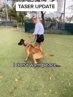 Another reason why you should NEVER bring your dog to a dog park. #DogTraining #dogtrainer #dogtrainingtips #dogs #dogsoftiktok #dog #miami #fyp 