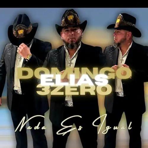 #domingoelias3zero 🪗🎸 #nadaesigual #released #2024 #album #nadaesigual #norteño #norteñomusic #corridos #rancheras #norteñas #corrido #norteñofriday #tgif #norteñonation #weekendvibes #dontowncopyrightstomusic #fypage #tiktokmusic #tiktokvibes #parati #paramigentelindadetiktok 