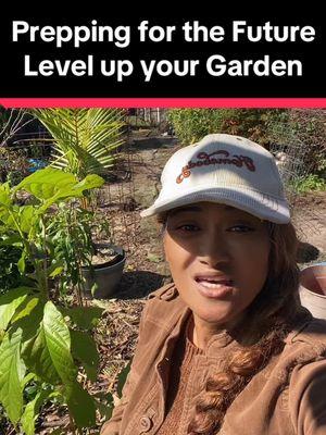 Gardening prep for the future & inviting nature to come in. #gardening #foodforest #fruitforest #wintergarden #gardenprepping #gardening101 #beginnergardening #gardentips #gardeninghacks #planting #gardenplanting #plantcommunity #floridagarden #floridagardening #growfoodnotlawns #medicinalgarden #herbalgarden #permaculture #naturegarden #nature #backyardgarden #backyardgardening #backyardgardener #growyourownfood #growfood #eatwhatyougrow #backyardgroceries #herbalgarden #gardenprep 