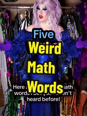 How many of these did you know? #math #maths #googolplex #mathvocabulary #drag #dragqueen #lgbtq #carrietheone #mathisadrag 