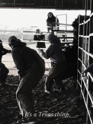 #bullriders #texas #roughstock 