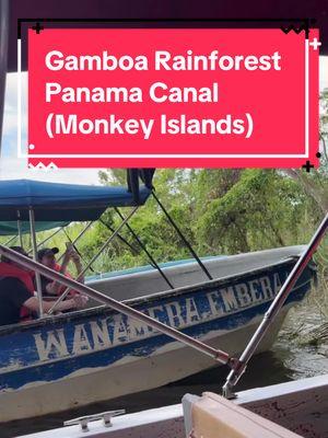 gamboa rainforest monkey island tour #rainforest #panama #gamboa #monkeyisland 