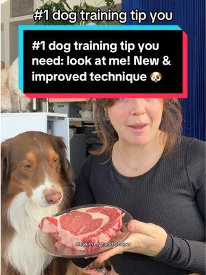 Does your dog know this? Its my #1 recommended dog/puppy cue- for a good reason! You need to have your dogs focus before you ask them to do anything else! So- Let’s train it. 🔥 @Open Farm Pet @Petcube  Use code TIKTOK to save 25% on any of my guides! 🐶❤️  Love you guys ❤️ #dogtrainingadvice #howtotrainyourpuppy #underrateddogtrainingtips #taylorcezanne #puppydog #TikTokTaughtMe 