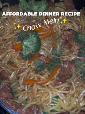 Link in bio for detailed recipes 👩🏽‍🍳✨ #quickrecipes #affordablerecipes #easymeals #cookwithfemi #HomeCookedMeals #chowmein #homemadetakeout #dinneridea 