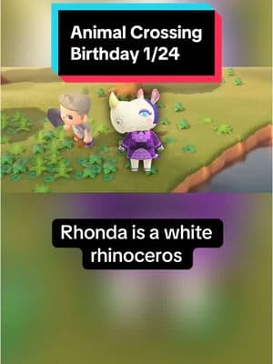 In Animal Crossing on January 24th, it’s Rhonda’s birthday! Happy birthday Rhonda! #animalcrossing #animalcrossingnewhorizons #animalcrossingswitch #switch #nintendo #nintendoswitch #switch2 #animalcrossingbirthday #January24th #January24 #Rhonda #animalcrossingRhonda #Rhondaanimalcrossing #acRhonda #Rhondaac #funfacts #DidYouKnow #animalfunfacts #rhinoceros #rhino #rhinos #cute #cuteanimals #gaming #GamingOnTikTok #gamingonyoutube #birthday #happybirthday #cozygames #cozygaming #cozygamer