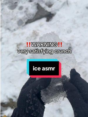 ya know what, hell yeah #northeastern #northeasternuniversity #asmr #iceasmr #winterasmr #fyp #foryou 