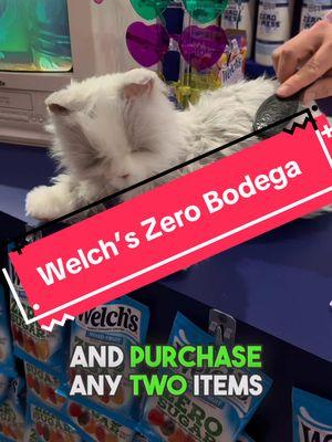 Did you know there is a bodega in NYC this weekend where everything costs $0 !?! Check out @Welch’s Zero Bodega! Where: 9 W 8th St, West Village, NYC  When:  Friday, January 24th from 1:00 – 8:00 pm  Saturday, January 25th from 11:00 am – 6:00 pm  Sunday, January 26th from 11:00 am – 6:00 pm  The Experience:  A taste of the unexpected: refreshments, surprises, a true “bodega” shopping experience but at zero cost, and branded merch you can’t find anywhere else. Also, as you make your way throughout the event, don’t forget to explore every corner because you never know what might be waiting for you behind the refrigerator door  Plus, Welch’s new sweepstakes offers an incredible chance to “Zero Out Your Grocery Bill.” That’s right—winners won’t pay a dime on their next grocery trip!  #nycpopup #nycevents #nycfun #nyctodo #nycfuntimes #nycliving #nyc #nyclife #nycthingstodo #welovenyc #ilovenyc #weloveny #iloveny #thingstodoinnyc #freenyc #nycforfree #nyconabudget #nycexplore