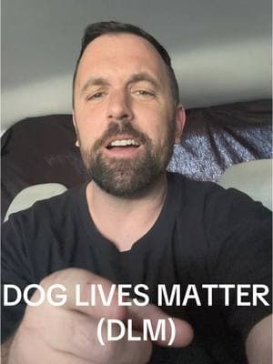 There is a new non-profit organization coming to town. DLM!!  #DLM #doglivesmatter #dogs #pets #pi #privateinvestigator  #investigator #story #storyteller  