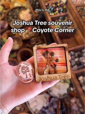 Must-visit gift shop in Joshua Tree for cute & unique souvenirs! #joshuatree #giftshop #souvenirs #souvenirshop #joshuatreenationalpark #cuteshop 