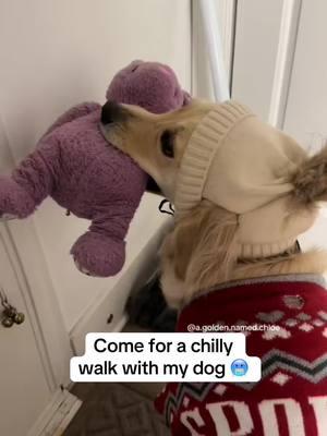 Come for a chilly walk with my dog 🥶❄️ Stay warm! #dogsofttiktok #goldenretriever #goldenretrieverlife #dogssmiling #thatsmydog 