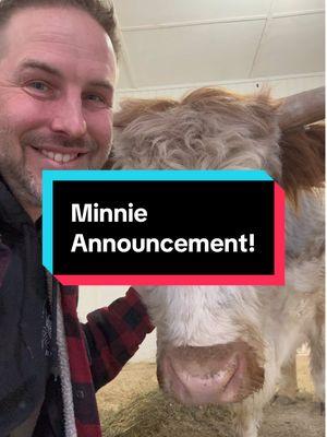 Minnie Announcement!!!   #fluffyfeatherfarm #calfwatch #babyfarmanimals  Website: https://fluffyfeatherfarm.com Merchandise: https://fluffyfeatherfarm.square.site