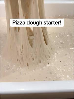 Pizza dough starter! Poolish! Check out my other videos and learn how to make your very own pizza dough starter! #pizzadough #poolish #homemadepizzadough #diypizzadough #bestpizzqdoughrecipe #pizzadoughfromscatch #pizzarecipes#pizzadoughstarter #backyardcooking  #neapolitanpizza  #pizzalover