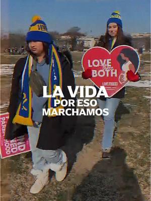 #marchaporlavida2025 #marchaporlavida #marchforlife #whywemarch #EWTNPROVIDA #EWTNProlife 