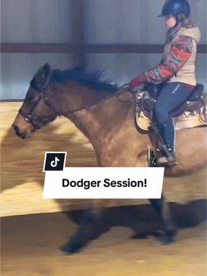 Dodger’s training session from a few days ago. I forgot to post because of the TikTok ban lol. He’s doing even better since! #auctionhorse #horsetraining 