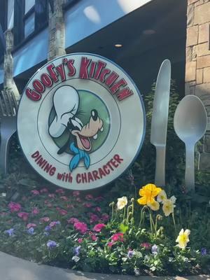 On the pricey side, but i recommend to go just once for a special occasion if your kids enjoy interacting with characters! #goofyskitchen #disneyland 