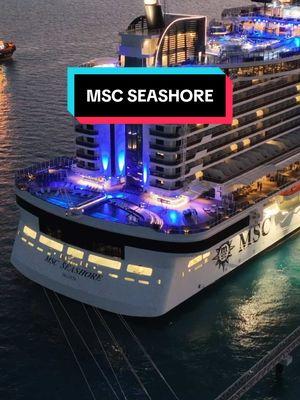 Look at her glow. #MSCCruises #MSCSeashore #nightparty