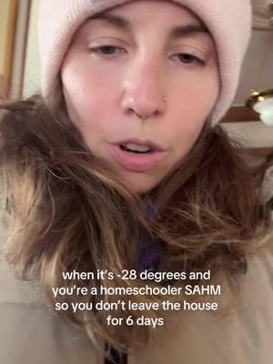 Another plus of homeschooling sahm life…you dont have to leave home in the polar vortex  #homeschoolmomlife #homeschoolersoftiktok #homeschooling #homeschoolingmom #sahmlife #sahmsoftiktok 