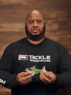 Trying to get BIT this Weekend!? Don't forget to check out A-TRAIN 🚂 in this week's #WNTW along with ALL of the NEW Baits at TW! #TackleWarehouse #WNTW