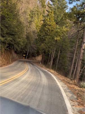 Miramonte, California.  East Kings Canyon Road. Road Trip.  #viajando_ala_naturaleza #viajesnaturaleza1 #miramonte #miramontecalifornia #kingscanyonroad #roadtrip #panorama #forest #forestview 