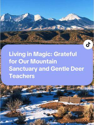 Grateful for This Sacred Space Every day, I find myself overflowing with gratitude for our beautiful home and retreat space here in Colorado. Nestled in the embrace of the majestic mountains, this place holds a magic that words can hardly capture. The views alone are breathtaking, but it’s the energy here that truly makes it special—a deep, grounding presence that invites peace, reflection, and connection. One of the greatest blessings of this space is the sweet deer tribe that graces us with their gentle presence. They move with such grace and stillness, as if carrying ancient wisdom in their every step. These beautiful beings feel like sacred teachers, reminding me to slow down, stay present, and honor the moment. Their magic fills my heart, and I am so grateful to receive it. This home is more than just a physical space; it’s a sanctuary. It holds the energy of healing, transformation, and love for everyone who steps foot here. I feel so blessed to call this place home and to share it with others who come to heal, grow, and reconnect with their souls. Today, I’m soaking it all in—the mountains, the deer, the stillness, and the energy that makes this space so sacred. There’s nothing like being present in this moment, and for that, I am so deeply thankful. ⚡️Follow Soulful Journeys for more! 📍IG: @soulfuljourneytribe 📍TikTok:@soulfuljourneyssoultribe 📍Back⬆️ TikTok: @soulfuljourneystribe #Sacredspace  #mountainmagic  #gratefulheart  #soulfuljourneys 