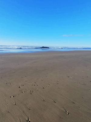 Take a moment to breathe! #votedblue #breathewithme #beachvibes #christiantiktok #scarytimes #oregoncoast #takeanairbreak 