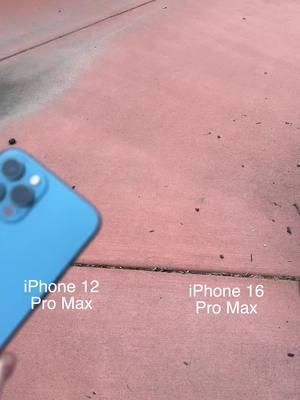 Wait Until the End to See This iPhone 16 Pro Max vs. 12 Pro Max Macro Test! 🌸📷 #iPhoneMacro #CameraTest #MacroPhotography #iPhoneComparison #TechLovers #AppleTech #CameraChallenge #MacroShots #iPhoneProMax #TechBattle  #fyp