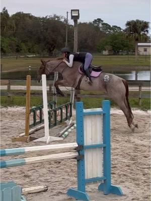 eq was not it but he’s insane  #rangeisgoodtokno #dreamlandfarmsfl #rideforchrome 