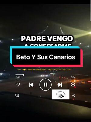 Confesiones De Un Narco - Beto Y Sus Canarios #confesionesdeunnarco #betoysuscanarios #betoysuscanarios🐦 #tierracaliente #tierracalienteguache #tierracaliente🔥🇲🇽 #tierracalientecochos #tierracalienteguaches #tierracalientemusic #tierracalienteguerrero #tierracaliente🔥 #tierracalientecochos🥑 #musicadetierracaliente #djcocho26 #untakuacheencananda🇨🇦 #elcochoencanada🇨🇦 #viralvideo 