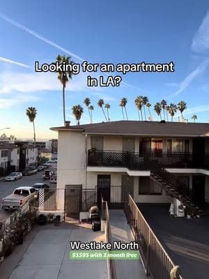 Who’s looking for a new apartment? #hoffmanbrothersrealty #apartmenttour #losangeles #california #virtualtour #apartmenthunting #newapartment #walkthrough #fyp #palmtrees #apartment #views 