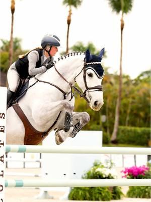 A mare….. 🐉🔥 @Myah Vasquez #equestrian #wellington #Wef #PonyUpSporthorses #GrandPrix #U25 #Fury #showjumper #equitation #equestriansport #horsemastership 