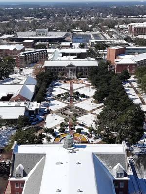 Writing stories in the snow! ❄️ A heartfelt thank you to Mr. and Miss FAMU for their unwavering support. Here’s to celebrating 10 incredible years of Rattlers United, crafting memories and stories on the Highest of Seven Hills. 🐍✨ #RattlersUnited #10YearsStrong #FAMU . Video & Words by @rattlersunited  Assisted by @chrisdaniels1887 Special thanks: @djhd305 @djloosekid @bemore_nothing_less