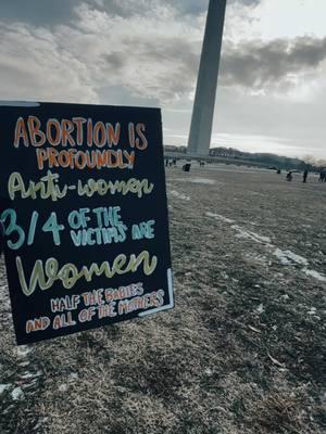 March for life ! This @Brandon Lake song gave me all the feels. Such an incredible event for a cause that I will always stand up for. #prolife #marchforlife #catholic #whywemarch @J.D. Vance 