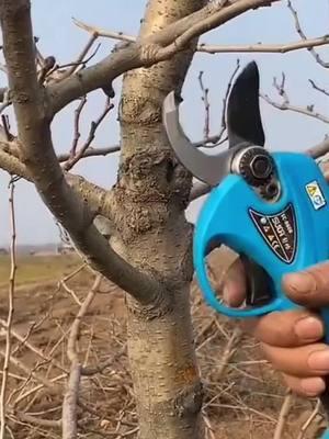 Trim your garden effortlessly with this Lithium Battery Pruning Shears! High-performance, durable, and super easy to use—perfect for any gardener looking to make pruning a breeze. #PruningShears #PowerTools #GardenEssentials #DIYTools #HighPerformance #LifeHacks #GardeningMadeEasy #MustHaveTools #gardenhelpers 