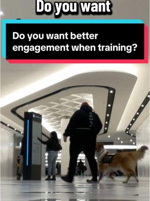 Do you have trouble getting your dogs engagement while training them? Well, the solution to that is keeping them engaged and it sounds like an answer of common sense however, a lot of people don’t realize to get a dogs engagement changes with every single dog that you work with. Some dogs do well with just treats and have that food motivation to get through anything. Some dogs do well with toys and some like my dog do well when you Work at a faster pace and throw in little tricks for fun. Every dog is different and it’s up to the trainer or handler to realize what their dog truly needs but my biggest advice when you want your dogs engagement is to just have fun be silly and overall get creative! * * #e#engagements#servicedogss#servicedogs#servicedogcommunitys#serviceanimalss#serviceanimald#dogsd#dogd#dogcommunitye#educationm#medicalalertdogd#disabledd#disabilityn#njn#newjerseyn#njservicedogf#fypf#fyf#foryoupagev#viralg#govirale#explorepagee#explored#dogtrainingd#dogtrainer