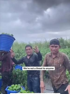 Hardworking Mexicans 🇲🇽✨ #hardworking #immigrant #fypage #mexican #mexicantiktok #hardworkers #fypシ゚viral #fypppppppppppppp #paratiiiiiiiiiiiiiiiiiiiiiiiiiiiiiii #farmworkers #farmwork #hijadeimmigrantes #mexicana #mexican🇲🇽 