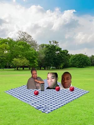 #shamar #youngmelo #shayandbria #mrsnetta #picnic #funnyvideo