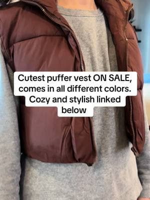 Goes with soo many outfits #fyp #TikTokShop #ValentinesDay #gift #2025 #valentinesdaygift #relateable #tiktokshopfinds #vest #pufferjacket #puffervest #puffvest #vests #cutejacket #jacket #pufferjacketoutfits 