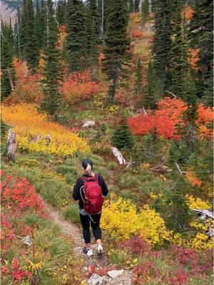 My favorite time of the year is definitely fall! This place just blows my mind! Montana will always be my favorite! ❤️  #americasbestidea #montanalife #explorewhitefish #montana #montanamoment #whitefishlake #pnwisbeautiful #instagood #naturephotography #wildernessculture #goatworthy #sunsetbeach #sunset_love #mountaintown #montanalife #406life #flatheadvalley #godscountry #godscreation #bevisuallyinspired #bigmountain #whitefishmontana #fallcolors #takemoreadventures #wanderlust #exploremore #roamtheplanet #goatworthy #fallinmontana #welivetoexplore #exploremontana 