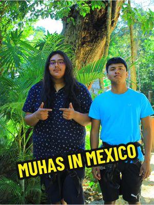 MEXICANS GET CAUGHT UP IN CANCUN FOR BRINGING A SINGLE MUHA😱😱 #muha #cancun #addiction #adiccion #parati #fyp #tiktokmexico #mexicans #pens #dispo #MUHAS  #police #foryou 