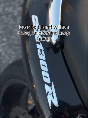 Honestly woulda been cooked if I was on a smaller bike #biketok #sportbike #bikesoftiktok #hayabusa #bikelife #fastlife 