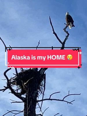 #alaska #myheart #myhome #myancestors #dbd #dt 