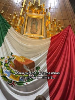 #mamamaria #maria #mariamadrededios #virgendeguadalupe #virgen #virgenmaria 👑🩷🇲🇽