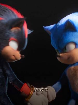 THIS DUO>>>> #edit #zekaeditz #sonic #sonicthehedgehog #sonic3 #shadow #fyp #viral_video 