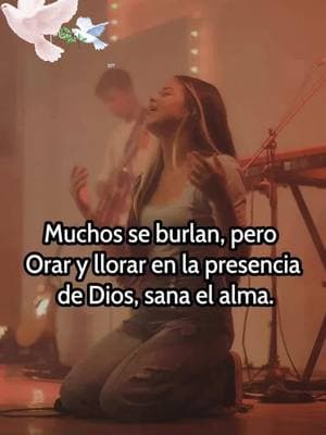 #parti #soylahijadeunrey #mipadreesunrey #🕊️alabanzas #frasescristianas #hijadeunreydereyes❤ #agamosviralajesus🌍✝️❤️ #adoracionadios🥺❤️ #diosesamorantetodo🙏🙏🙇‍♂️ #viraltiktok #dios #fe #diosteam #🙌 #🧎🏽‍♂️🧎🏽‍♂️🧎🏽‍♂️🙏🙏🙏🙏 #GEICOLipSyn #dio 