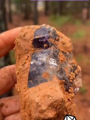 Like and Follow if you want to see this amethyst without the mud ⚒💜💎 #crystalhunting #crystals #amethyst #southcarolinacheck #foryou #digginglife