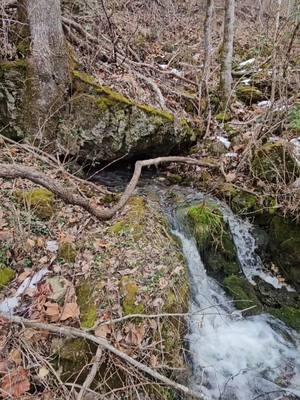 love finding hidden little springs  #missourisprings  #missouribackroads  #816overlanding  #Midwestdiscoveryroute  #stopandenjoylife #neverstopexploring  #mooreexpo #midlandradios  ##CapCut 